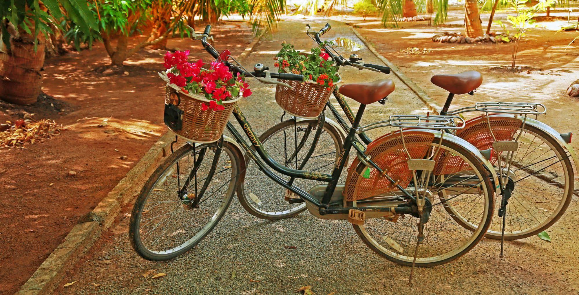 Heina Nature Resort - Eco Home And Yala Safari Катарагама Екстер'єр фото