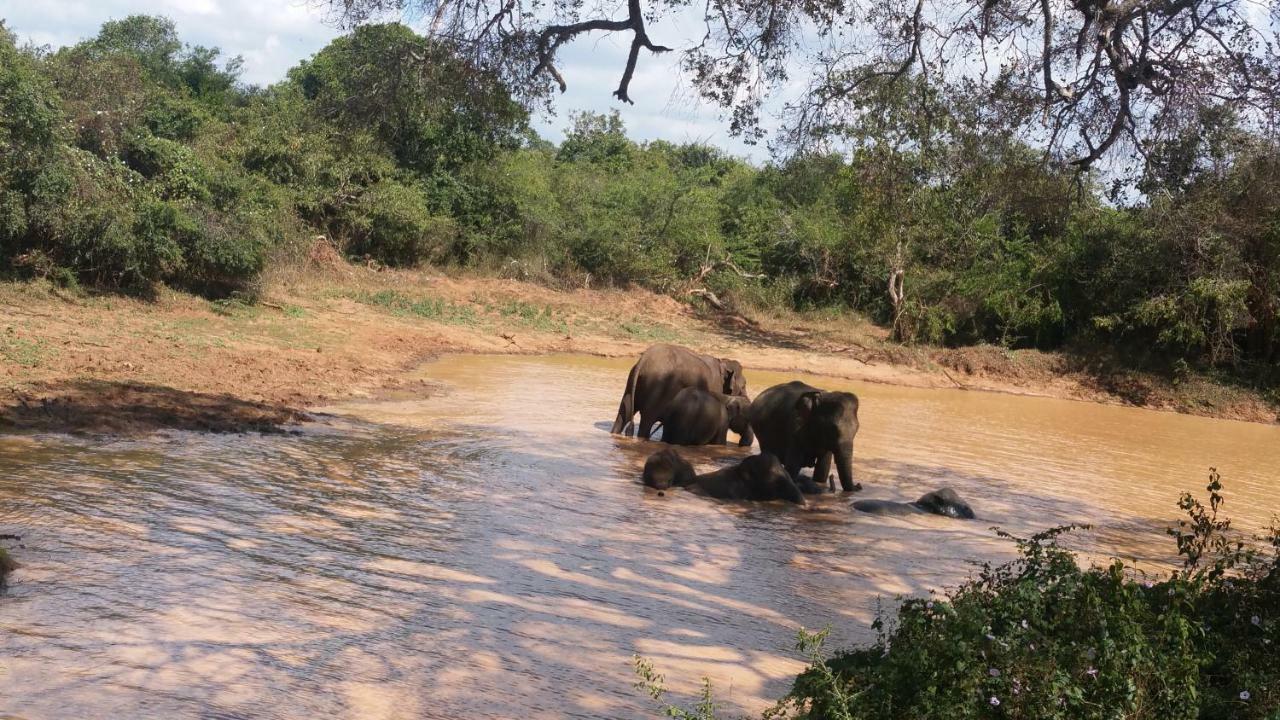 Heina Nature Resort - Eco Home And Yala Safari Катарагама Екстер'єр фото